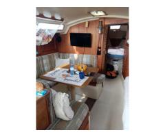 1984 Catalina 30 (Tall Rig / Fin Keel) – Priced for Quick Sale - 3